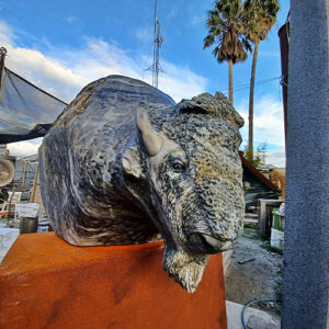 bison