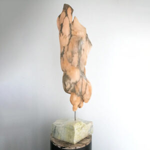 male-torso