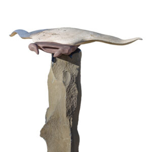manta