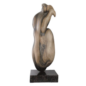 voluptuous-figure