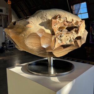 whale-skull-basile-arts